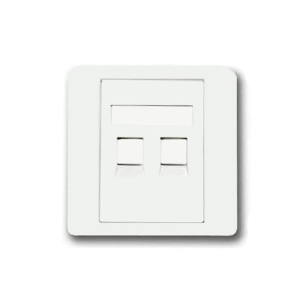 فیس پلیت دو پورت شبکه